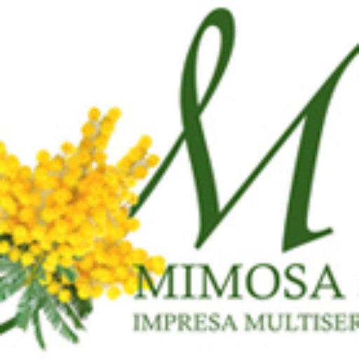 Mimosa Servizi