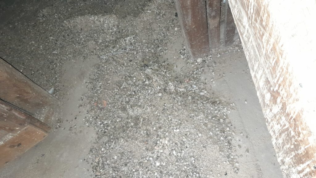 smaltimento guano piccioni