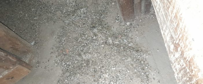 Smaltimento Guano Piccioni: non ridurti così!