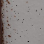 infestazione cimice da letto